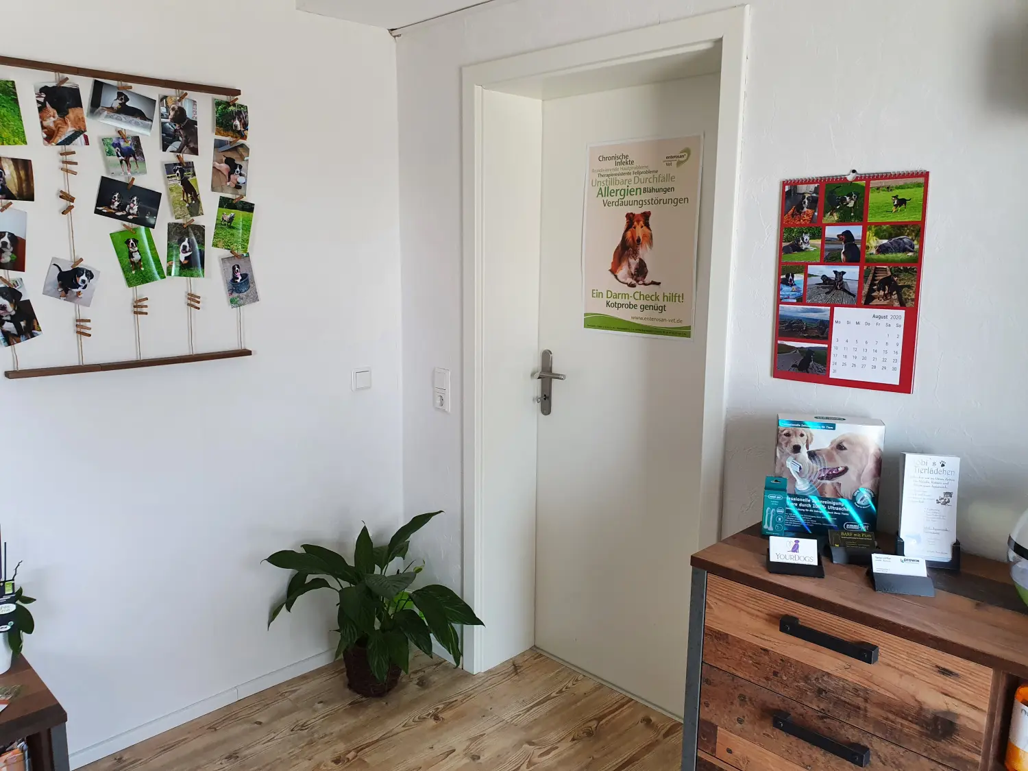 BARF mit Plan Büro