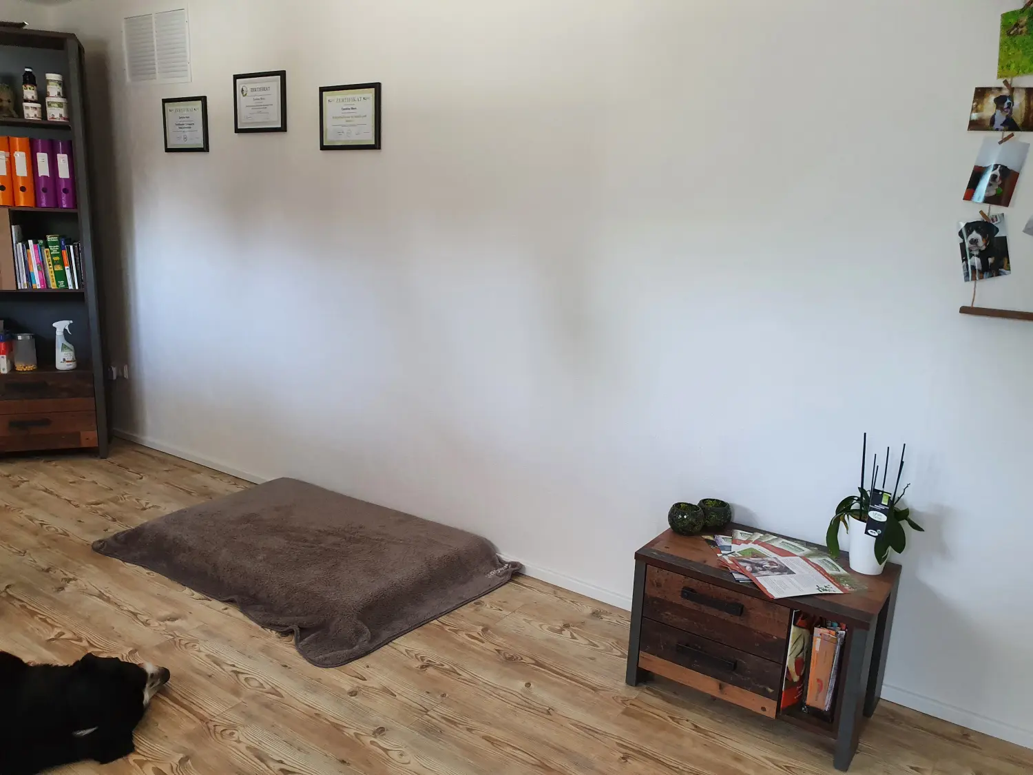 BARF mit Plan Büro
