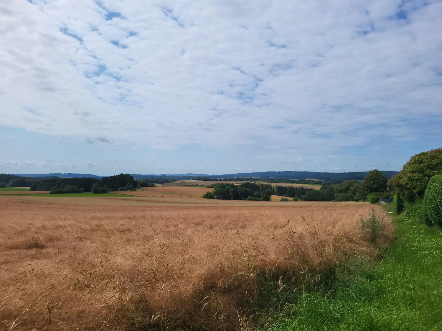 BARF mit Planwald