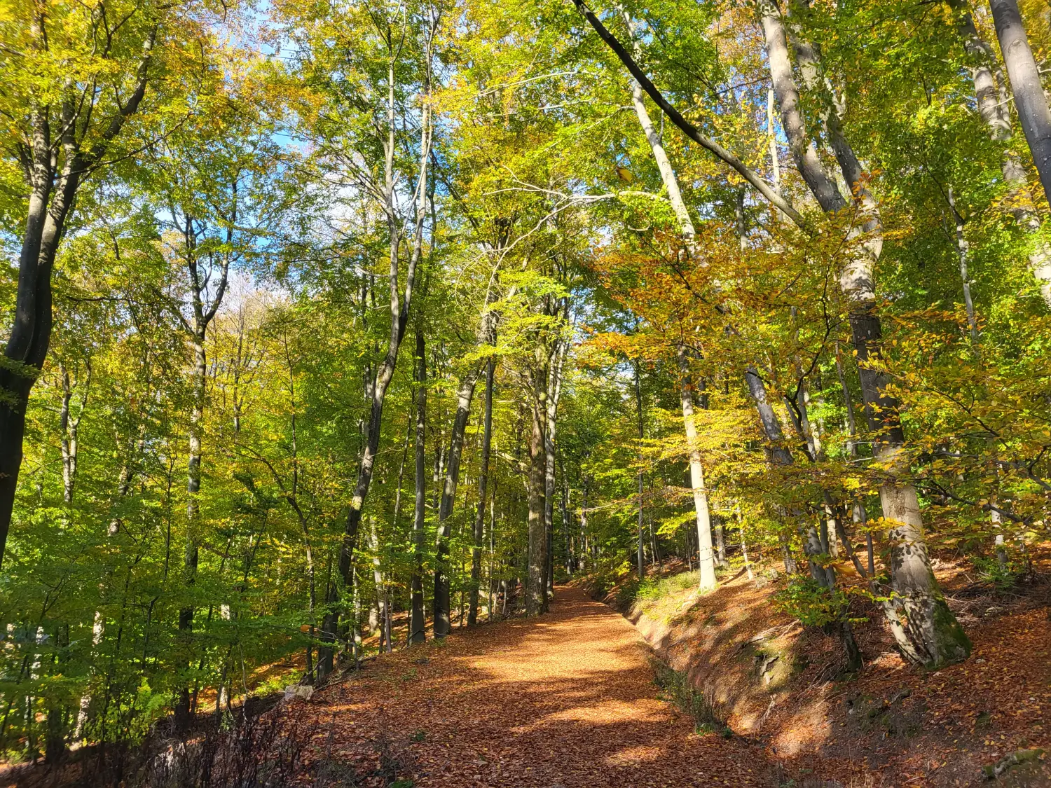 BARF mit Planwald