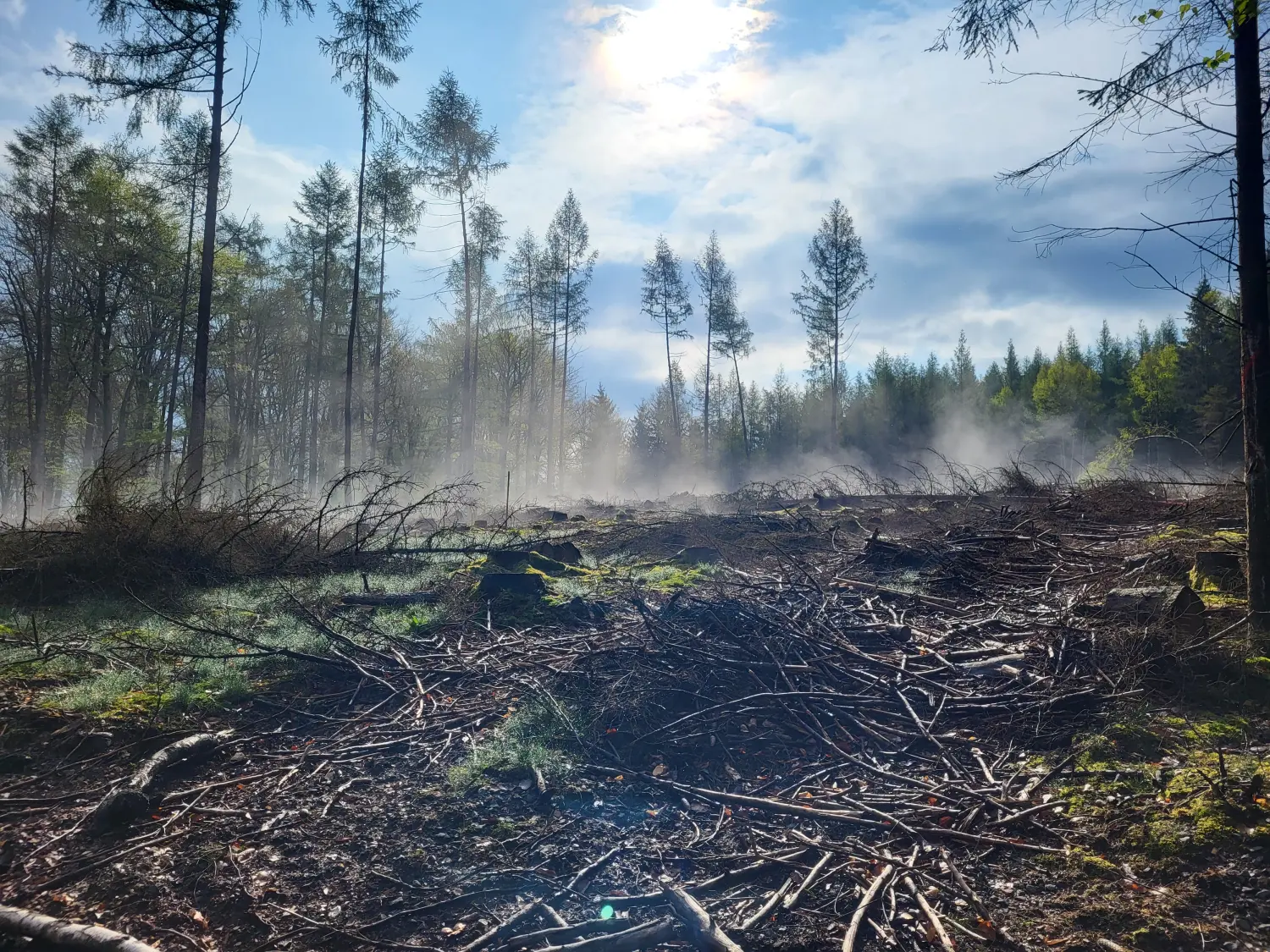 BARF mit Planwald