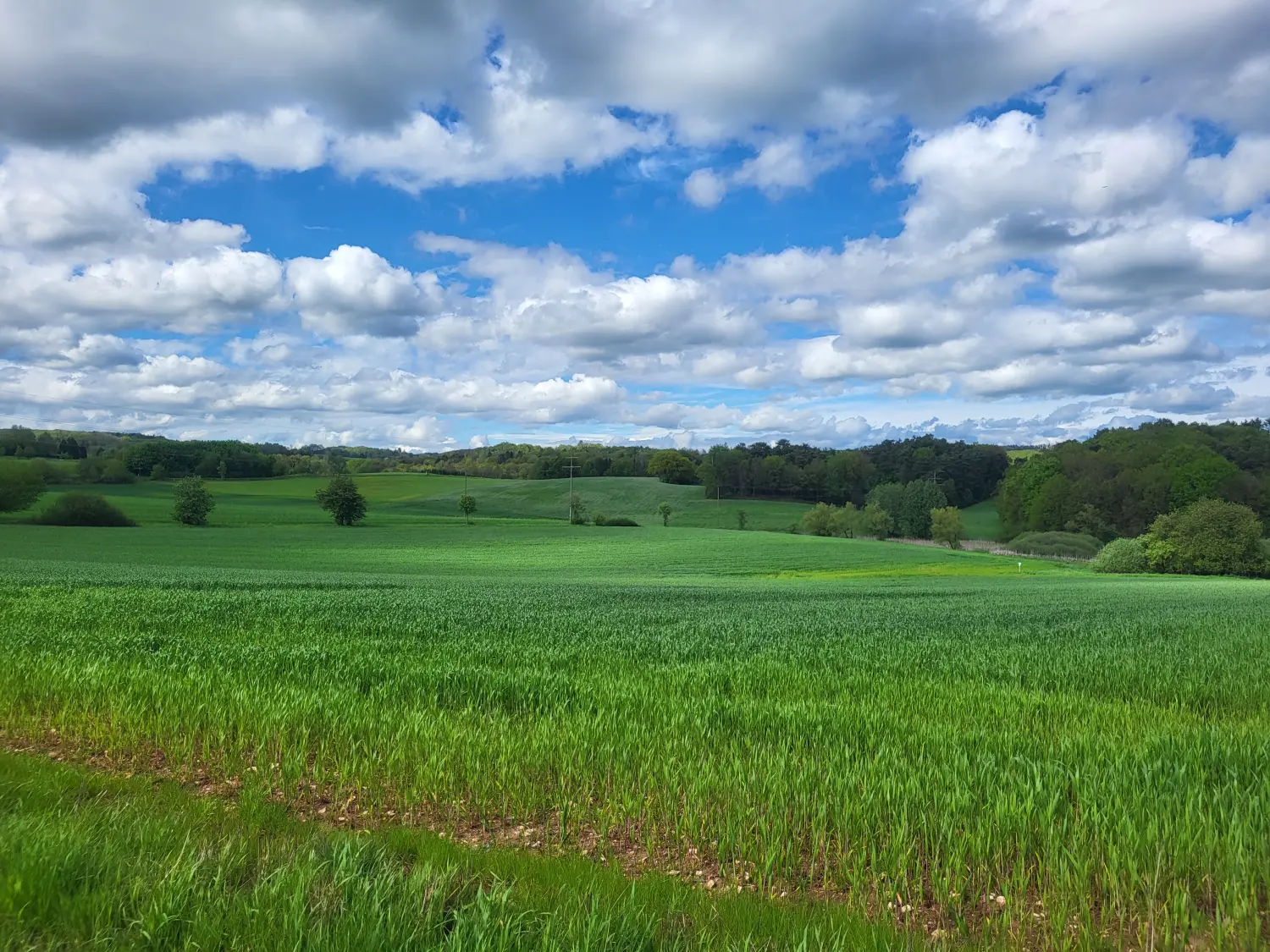 BARF mit Planwald
