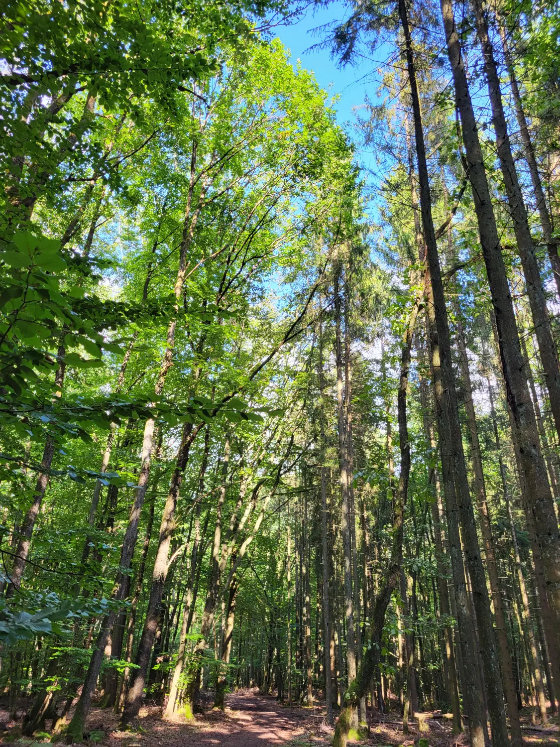 BARF mit Planwald