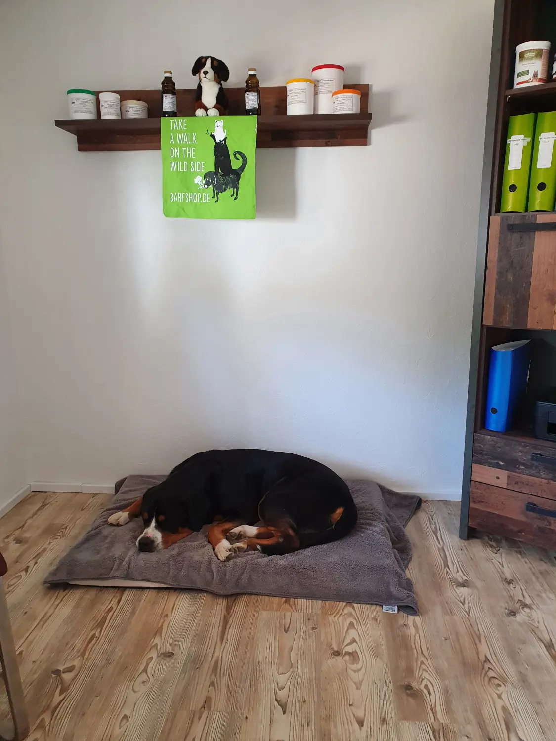 BARF mit Plan Buero